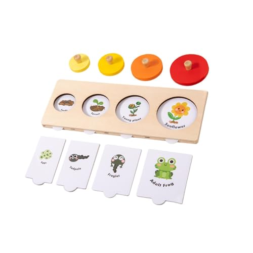 Baoblaze Puzzle-Spielzeug Lebenszyklus-Puzzle, Cartoon, kognitive Entwicklung, hölzernes Matching-Spiel, Montessori-Spielzeug für Kleinkinder, Kindergeschenke von Baoblaze