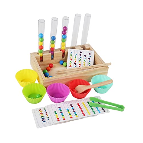 Baoblaze Montessori Kugeln in Tassen, Regenbogenkugeln in Bechern, Farbsortierung und -Zählung Spielzeug, Perlen Reagenzglas Spielzeug, Clip Perlen Puzzle Brettspiele für Kinder Vorschule von Baoblaze