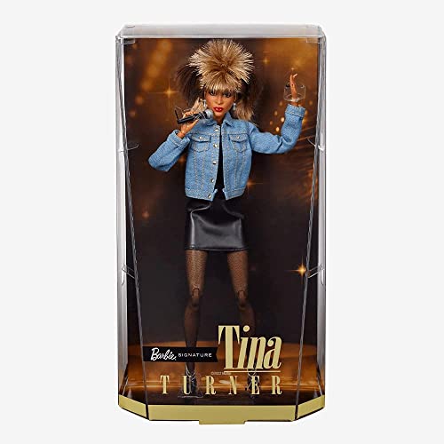 Barbie HCB98 - Signature Musik Serie, Tina Turner Puppe, Spielzeug Geschenk für Kinder ab 6 Jahren und Erwachsene Sammler von Barbie