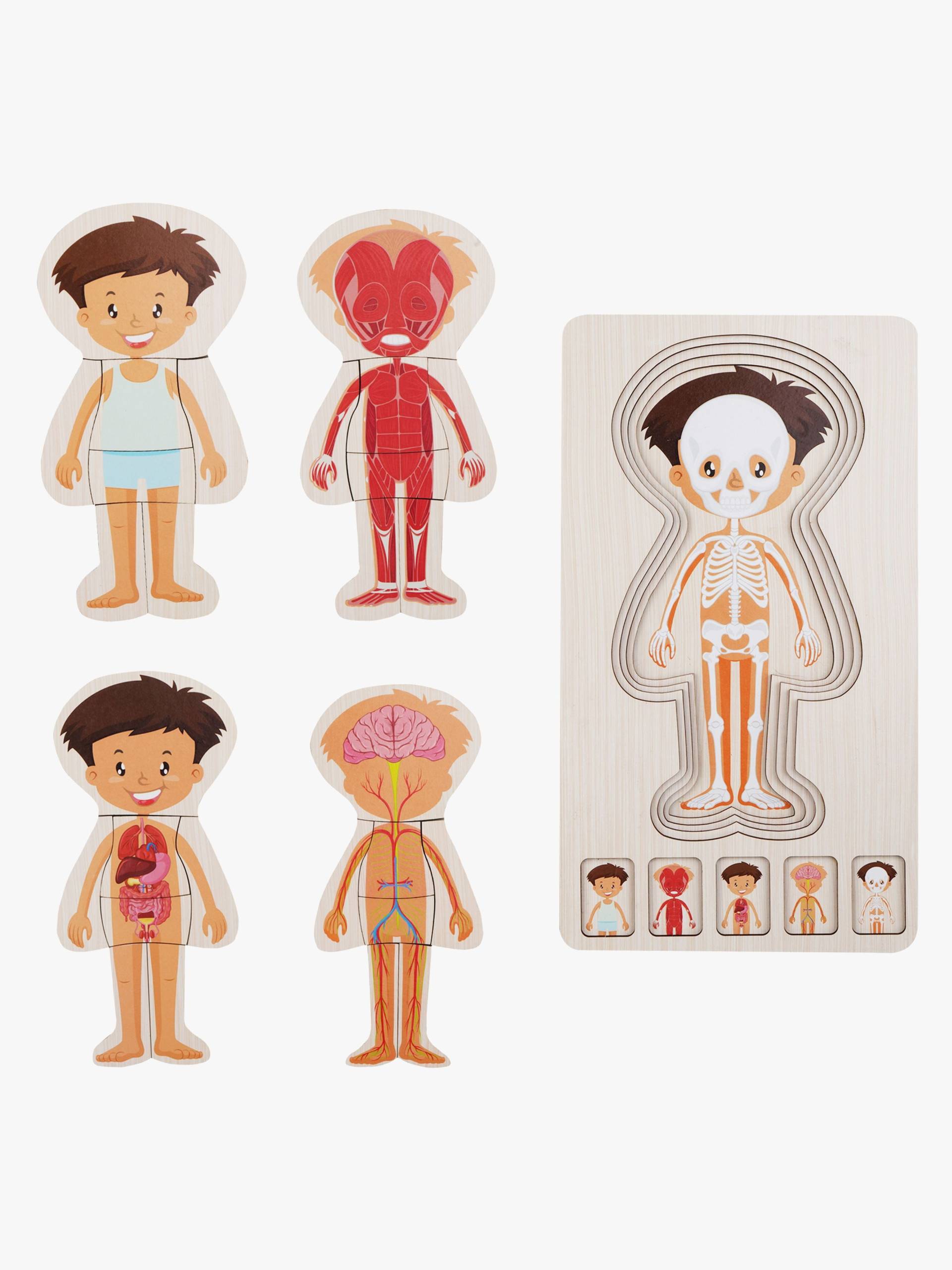 Barbo Toys Körperpuzzle, Blau Barbo Toys Körperpuzzle, Blau von Barbo Toys