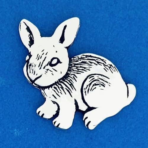 Basic Spirit Pocket Token Coin - Rabbit/Creative Coin - Handcrafted Pewter, Love Gift for Coin Collecting von Basic Spirit