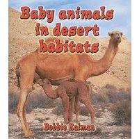Baby Animals in Desert Habitats von Bayard Publishing