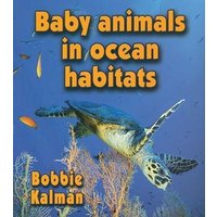 Baby Animals in Ocean Habitats von Bayard Publishing