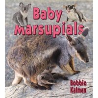 Baby Marsupials von Crabtree