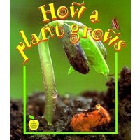 How a Plant Grows von Bayard Publishing