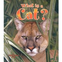 What Is a Cat? von Bayard Publishing