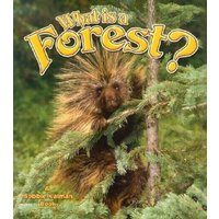 What Is a Forest? von Crabtree