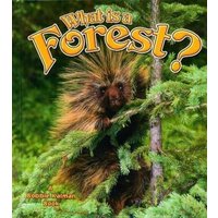 What Is a Forest? von Crabtree