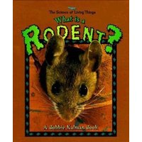 What Is a Rodent? von Bayard Publishing