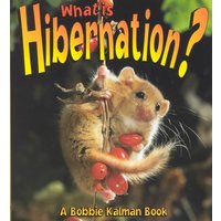 What is Hibernation? von Bayard Publishing