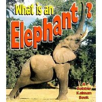 What is an Elephant? von Bayard Publishing