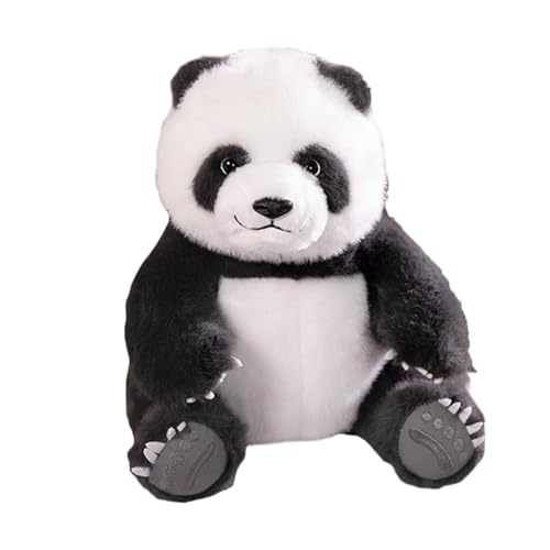 Panda-Plüschtier, Plüschtier, süßes Super-Plüschtier, 30 cm, Raumdekoration, Kuschelspielzeugkissen für Kinder, Erwachsene, Wohnzimmer, Schlafzimmer Panda-Plüschtier, Plüschtier, süßes Super-Plüschtier, 30 cm, Raumdekoration, Kuschelspielzeugkissen für Kinder, Erwachsene, Wohnzimmer, Schlafzimmer von Bbbabeslk