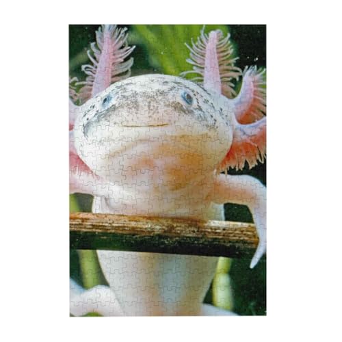 Puzzles, Holzpuzzles Erwachsene Unzip Puzzle 300 Teile Bilderpuzzle, Axolotl von BeNtli