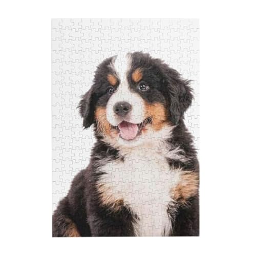 Puzzles, Holzpuzzles Erwachsene Unzip Puzzle 300 Teile Bilderpuzzle, Berner Sennenhund von BeNtli