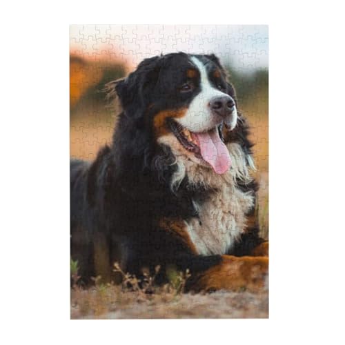 Puzzles, Holzpuzzles Erwachsene Unzip Puzzle 300 Teile Bilderpuzzle, Berner Sennenhund von BeNtli