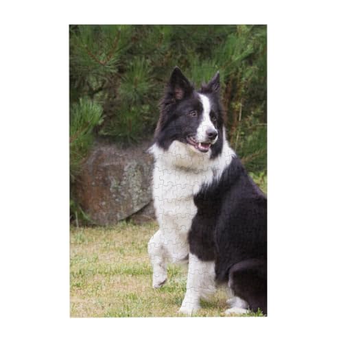 Puzzles, Holzpuzzles Erwachsene Unzip Puzzle 300 Teile Bilderpuzzle, Böser Hund Border Collie von BeNtli