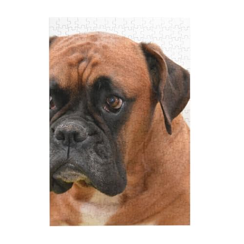 Puzzles, Holzpuzzles Erwachsene Unzip Puzzle 300 Teile Bilderpuzzle, Boxerhund mit traurigem Gesicht von BeNtli