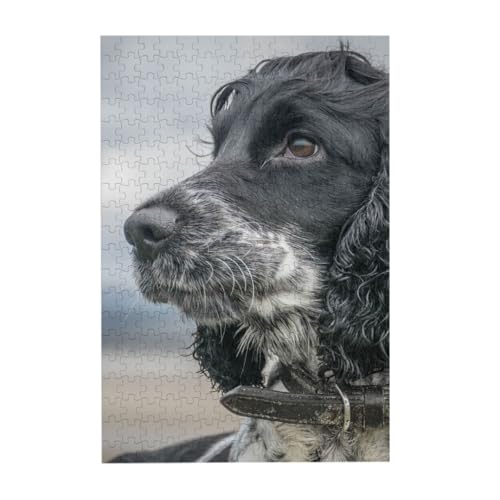 Puzzles, Holzpuzzles Erwachsene Unzip Puzzle 300 Teile Bilderpuzzle, English Cocker Spaniel Große lockige Ohren Schwarz von BeNtli