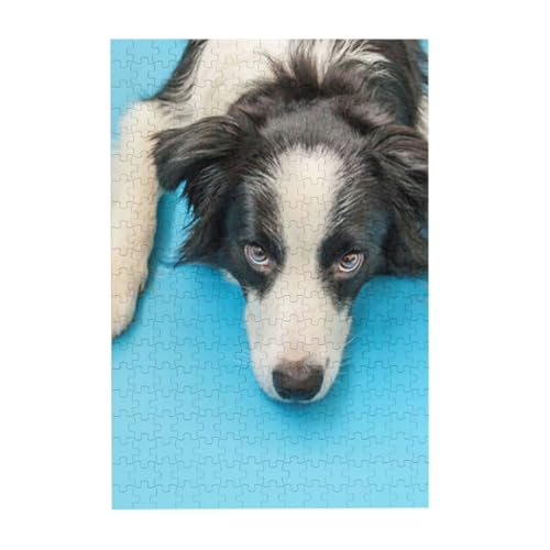 Puzzles, Holzpuzzles Erwachsene Unzip Puzzle 300 Teile Bilderpuzzle, Lustiger Welpe Hund Border Collie Auf Blauem Hintergrund von BeNtli