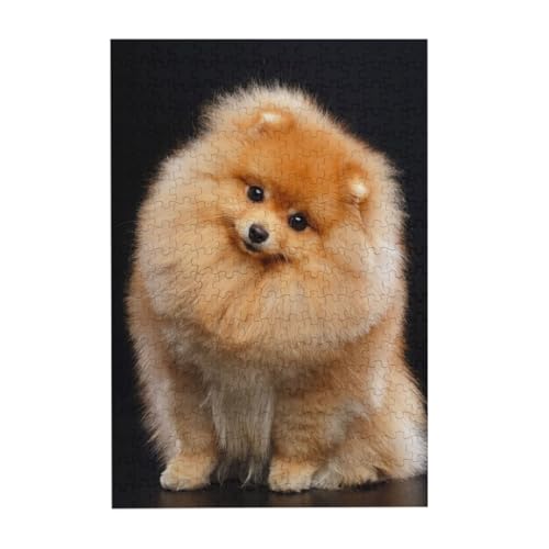 Puzzles, Holzpuzzles Erwachsene Unzip Puzzle 300 Teile Bilderpuzzle, Pomeranian Hund Welpe süß von BeNtli