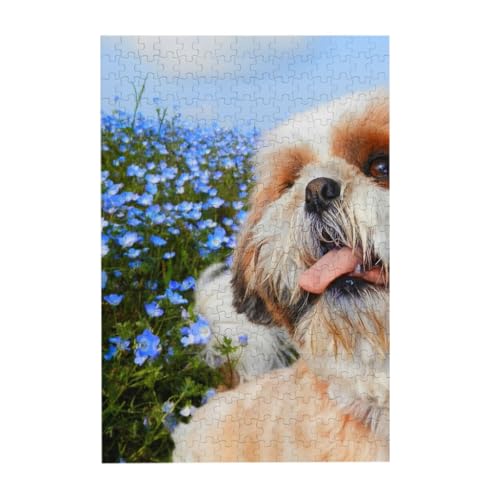 Puzzles, Holzpuzzles Erwachsene Unzip Puzzle 300 Teile Bilderpuzzle, Shih Tzu Nahaufnahme von BeNtli