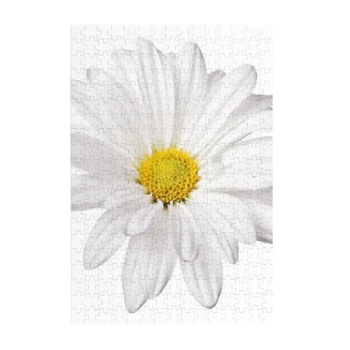 Puzzles, Holzpuzzles Erwachsene Unzip Puzzle 300 Teile Bilderpuzzle, Weiße Gänseblümchen-Blume mit leuchtend gelbem Herzen von BeNtli