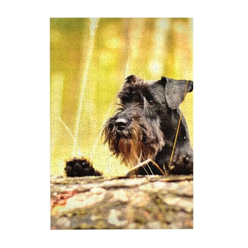 Puzzles, Holzpuzzles Erwachsene Unzip Puzzle 300 Teile Bilderpuzzle, Zwergschnauzer Haustiere Schwarze Hunde von BeNtli