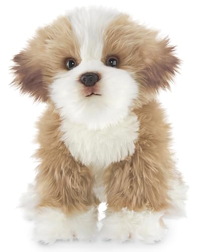 Bearington Murphy Plüsch Maltipoo, Hundestofftier, 13 Zoll von Bearington Collection