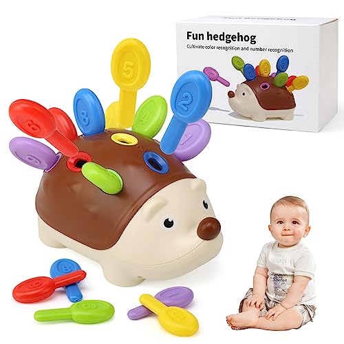 BelleStyle Steckspiel 18 Monate, Igel Montessori Spielzeug Baby, Motorikspielzeug Trainiert Hand Auge Koordination Kleinkind Lernspielzeug Geschenke für Kinder Jungen Mädchen ab 2 3 Jahr von BelleStyle