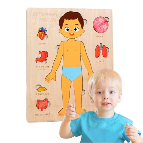 Besreey Körperteile-Puzzle für Kinder, Anatomie Holzpuzzle Spielzeug für Kinder, Buntes Lernspielzeug für und Mädchen, tragbares Puzzlebrett für das Klassenzimmer von Besreey