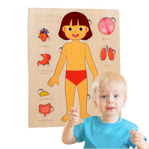 Besreey Menschliches Körperspielzeug | Holz-Puzzles zur Anatomie des menschlichen Körpers,Lernpuzzlebrett für und Mädchen, farbenfrohes Lernspielzeug für den Kindergarten von Besreey