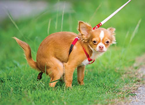 DENDAWEN Puzzle Chihuahua - Lustiges Gag Geschenk für Hundeliebhaber und Besitzer - 1000 Teile Puzzle von Better Me