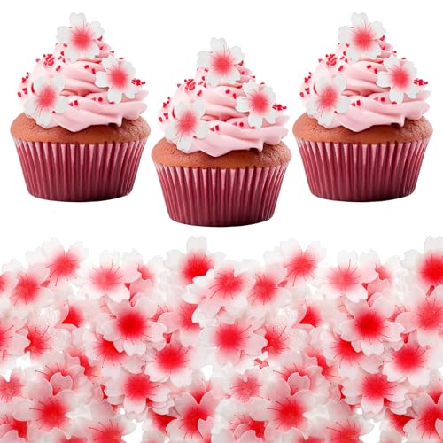 Bewudy 100 Stück Kirschblüten Tortendeko Blumen Essbar, Kirschblüten Deko Torte Klebreispapier Cupcake Topper Blüten Essbare Tortendeko Blüten Cupcake Topper Für Geburtstag Hochzeit Taufe Bewudy 100 Stück Kirschblüten Tortendeko Blumen Essbar, Kirschblüten Deko Torte Klebreispapier Cupcake Topper Blüten Essbare Tortendeko Blüten Cupcake Topper Für Geburtstag Hochzeit Taufe von Bewudy