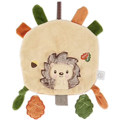 Bieco Knistertuch Baby Igel | Schmusetuch Baby mit Knistereffekt | Schnuffeltuch Baby Junge und Mädchen | Baby Greifling Knisterspielzeug Baby | Knisterndes Baby Schmusetuch mit Spielzeug zum Greifen von Bieco