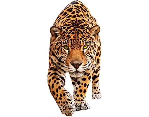 Bilderwelten Wandtattoo Tiger Löwe No.648 Creeping Jaguar, Größe HxB:95cm x 45cm von Apalis