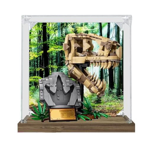 BilliColors Acryl-Vitrine für Lego Jurassic World 76964, anwendbar für Dinosaurier-Fossilien: T. rex Totenkopf-Design-Displaybox, Geschenk (nur Vitrine) (Holzboden + Hintergrund 2) von BilliColors