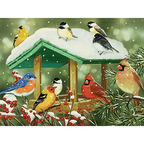 Bits and Pieces 500 Stück Puzzle für Erwachsene Winter-Treats 500 Pc Birds Jigsaw von Künstler William Vanderdasson von Bits and Pieces