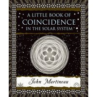 A Little Book of Coincidence von Bloomsbury Academic