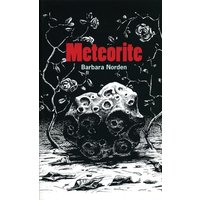 Meteorite von Bloomsbury Academic