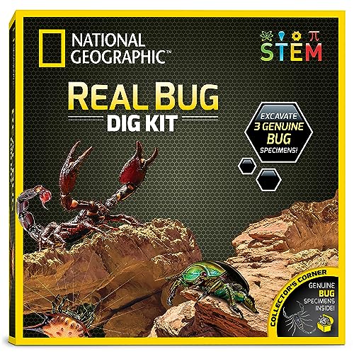 National Geographic NGBUG Real Bug Dig Kit von Blue Marble