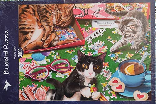 Bluebird Puzzle - Puzzle Cats - Katzen 3000 Teile (70567) von Bluebird