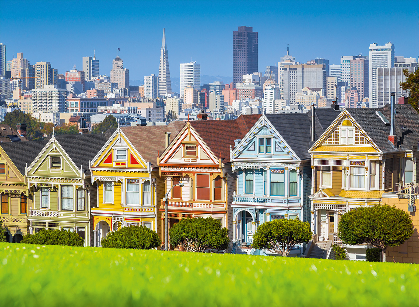 Bluebird Puzzle San Francisco, Painted Ladies 3000 Teile Puzzle Bluebird-Puzzle-70565-P von Bluebird Puzzle