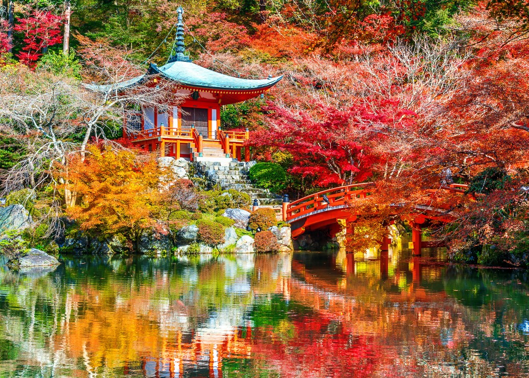 Bluebird Puzzle Temple Daigo-ji en Automne, Kyoto 500 Teile Puzzle Bluebird-Puzzle-F-90874 von Bluebird Puzzle