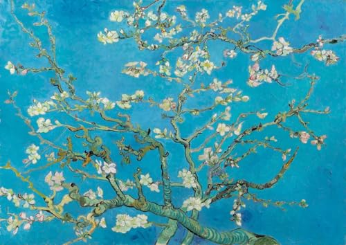 Bluebird puzzle Vincent Van Gogh - Mandelblüte 1000 Stück Bluebird puzzle Vincent Van Gogh - Mandelblüte 1000 Stück von Bluebird