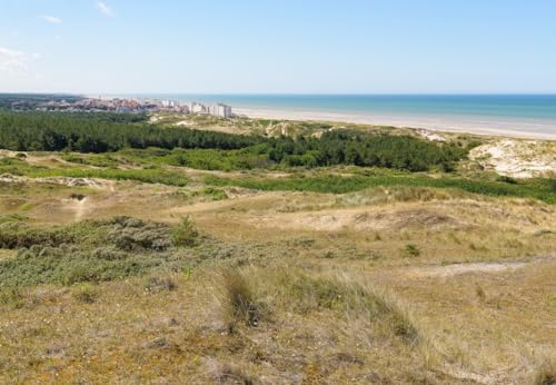 Puzzle 1000 Teile - Dunes d'Hardelot, Côte d'Opale, France von Bluebird Puzzle