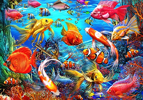 Puzzle 1500 Teile - Tropical Fish von Bluebird Puzzle