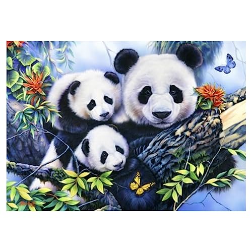 Bluebird puzzle Die Panda-Familie ? 1000 Teile von Bluebird