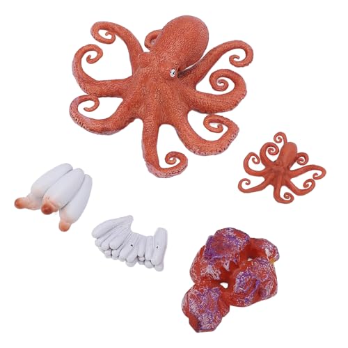 Bnineteenteam Oktopus-Meerestier-Figuren-Spielzeug-Set, 5-teilig, Pädagogisches, Simuliertes Oktopus-Lebenszyklus-Lernspielzeug für die Schule zu Hause, Modellspielzeug für Frühe Lernende von Bnineteenteam