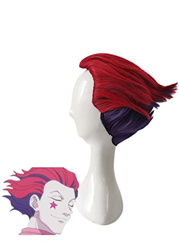 Bokerom Anime Hunter Hunter Hisoka Cosplay Perücke, Rot Lila Kurzes Haar Für Halloween Kostüm Party Perücke Mit Perücke Cap von Bokerom