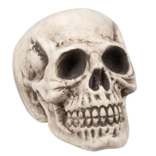 Boland 71988 - Schädel Bighead, Halloween-Accessoire, Halloween-Party von Boland